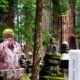 heiliger Friedhof am Koyasan Japan