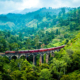 Zugfahrt in den grünen Hügeln Sri Lankas